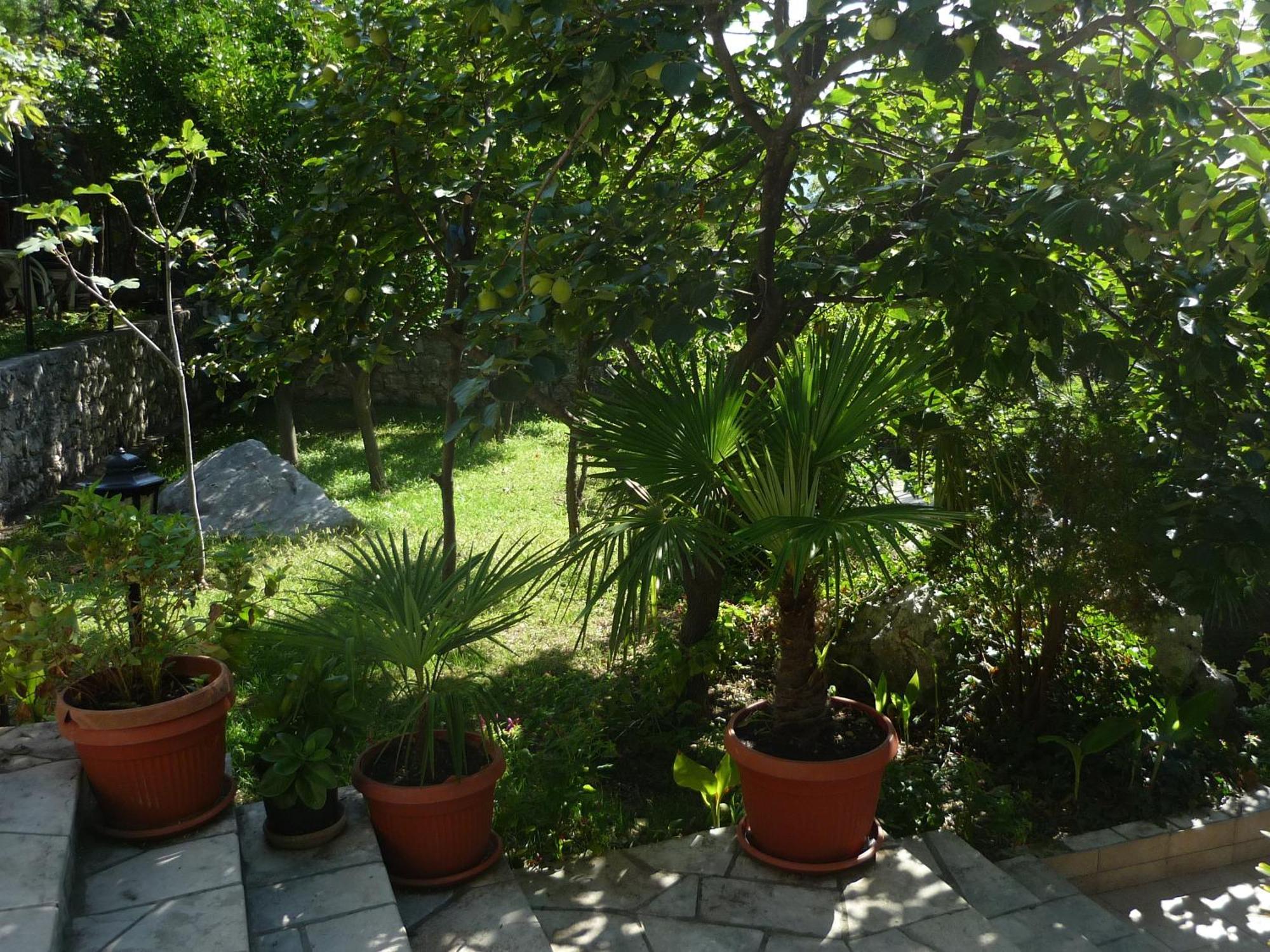 Apartments Villa Pm Kotor Zewnętrze zdjęcie