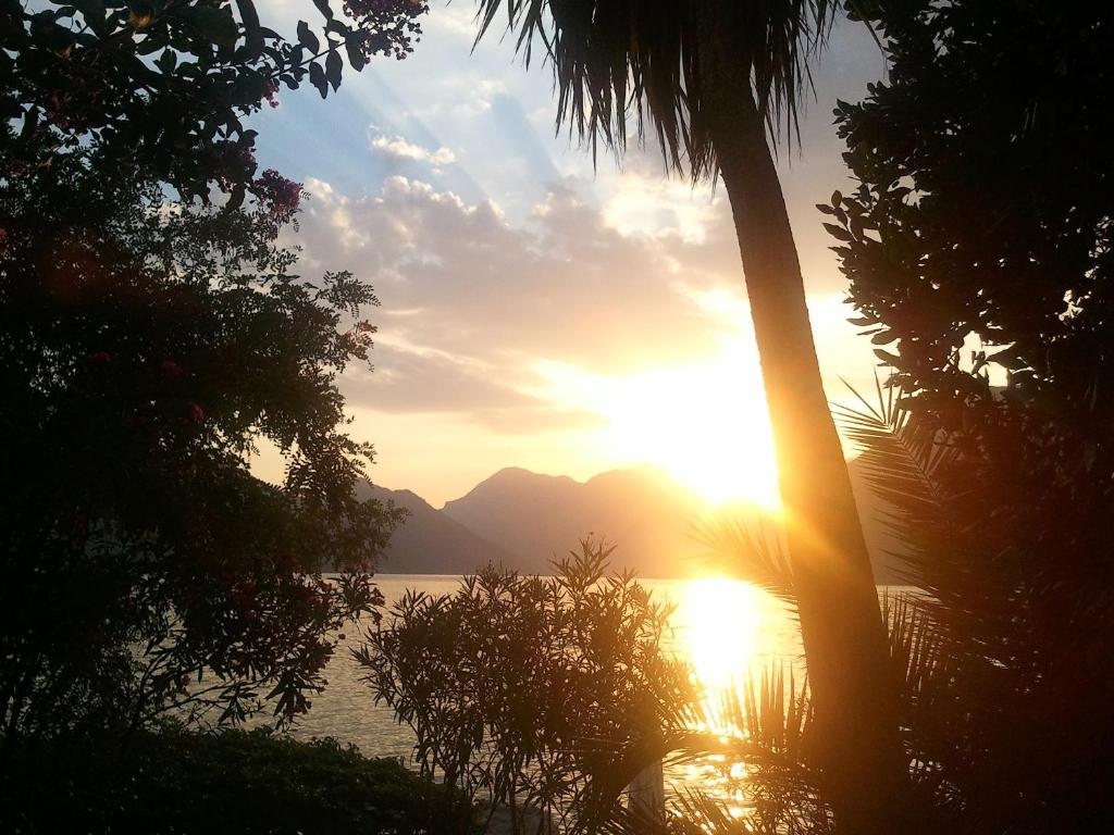 Apartments Villa Pm Kotor Zewnętrze zdjęcie